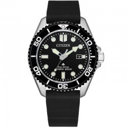 Citizen BN0266-07E watch