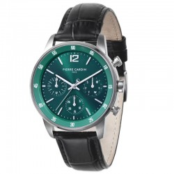 Наручные часы Pierre Cardin CMR.1006