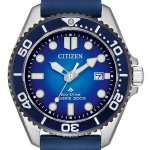 Наручные часы Citizen BN0267-04L Citizen BN0267-04L