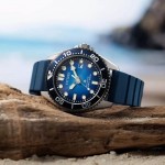 Наручные часы Citizen BN0267-04L Citizen BN0267-04L
