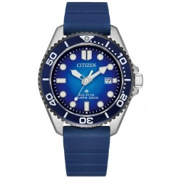 Наручные часы Citizen BN0267-04L