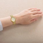 Rokas pulkstenis Citizen EM1208-53A Citizen EM1208-53A