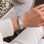 Perfect S403-01