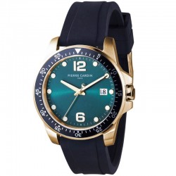 Наручные часы Pierre Cardin CNI.0037