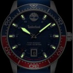 Timberland TDWGN0041601