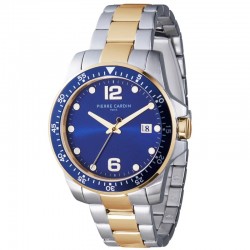 Наручные часы Pierre Cardin CNI.0031
