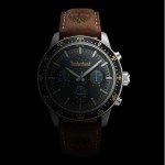 Timberland TDWGF0041301