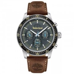 Наручные часы Timberland TDWGF0041301