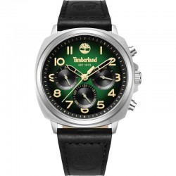 Timberland TDWGB0042008 watch