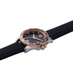 Наручные часы Pierre Cardin CNI.0036 Pierre Cardin CNI.0036