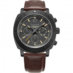 Наручные часы Timberland TDWGF0074903