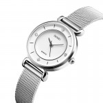 Наручные часы SKMEI 1330SSI SKMEI 1330SSI