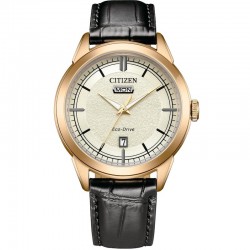 Наручные часы Citizen AW0153-04AC