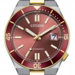 Citizen NJ0234-58X