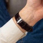 Наручные часы Orient RA-AC0F13E30B Orient RA-AC0F13E30B