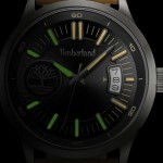 Наручные часы Timberland TDWGB0041006 Timberland TDWGB0041006