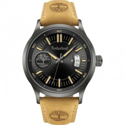 Наручные часы Timberland TDWGB0041006