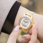 Наручные часы AVIATOR V.1.33.1.343.5 AVIATOR V.1.33.1.343.5