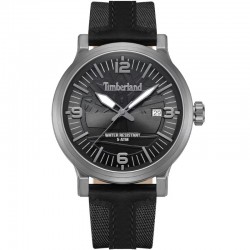 Наручные часы Timberland TDWGN0029103