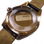 Rokas pulkstenis AVIATOR V.1.38.2.323.4 AVIATOR V.1.38.2.323.4