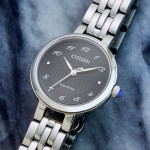 Citizen EM0990-81E watch Citizen EM0990-81E