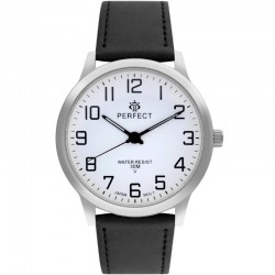 Perfect GXB460-01 watch