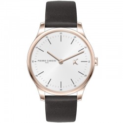 Pierre Cardin CBA.4006 watch