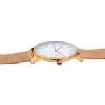 Rokas pulkstenis Pierre Cardin CBA.4013 Pierre Cardin CBA.4013