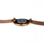 Rokas pulkstenis Pierre Cardin CBA.4013 Pierre Cardin CBA.4013