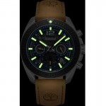 Timberland TDWGF0041701