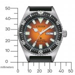 Citizen NY0120-01ZC