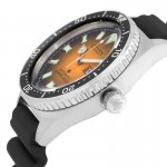 Citizen NY0120-01ZC