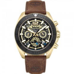 Rokas pulkstenis Timberland TDWGF0041702