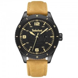 Наручные часы Timberland TDWGB0010502