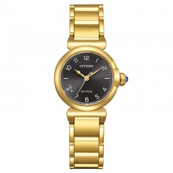 Rokas pulkstenis Citizen EM1132-88H