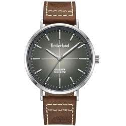 Rokas pulkstenis Timberland TDWGA2231101