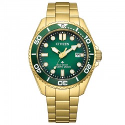 Наручные часы Citizen BN0262-59W