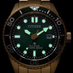 Citizen BN0262-59W