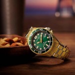 Citizen BN0262-59W