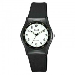 Rokas pulkstenis Q&Q VQ04J011Y