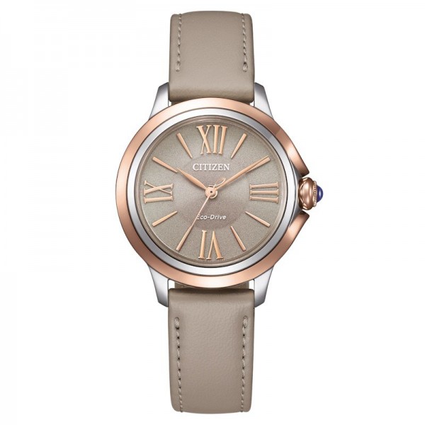 Citizen EM1166-01Z