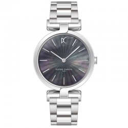 Наручные часы Pierre Cardin CMD.3541