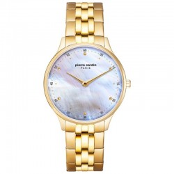 Pierre Cardin A.PC902722F208 watch