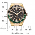 Rokas pulkstenis Citizen NB6033-51E Citizen NB6033-51E