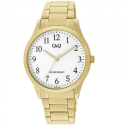 Rokas pulkstenis Q&Q C00A-006PY