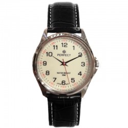 Perfect C425-S107 watch