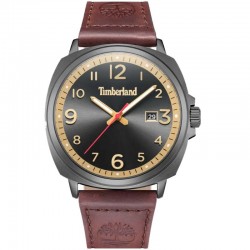 Rokas pulkstenis Timberland TDWGB0028602