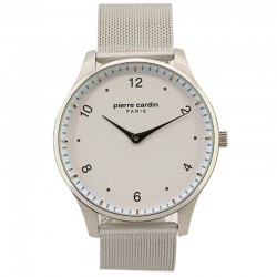 Наручные часы Pierre Cardin A.PC902711F201