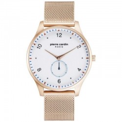 Наручные часы Pierre Cardin A.PC902671F202