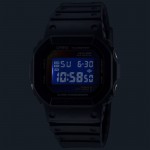 Casio G-SHOCK DW-5600RW-1ER